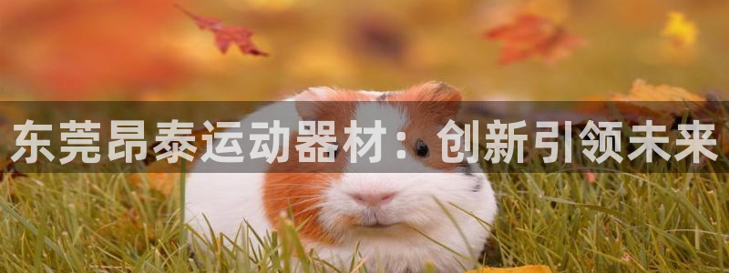 熊猫体育官网下载招商电话号码是多少：东莞昂泰运动器材