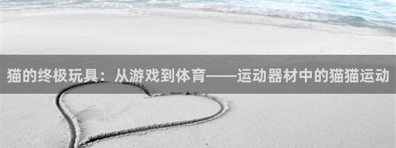 海南熊猫体育官网下载：猫的终极玩具：从游戏到体育——运动器材