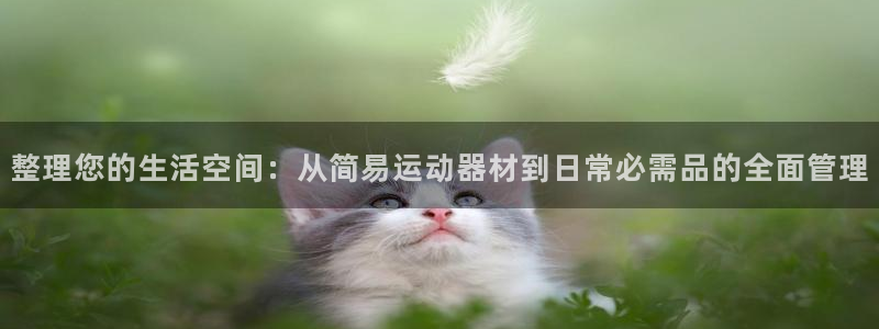 熊猫体育官网下载招商电话号码：整理您的生活空间：从简易运动器