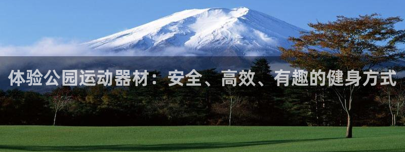 熊猫体育集团E.ON：体验公园运动器材：安全、高效、有趣的健