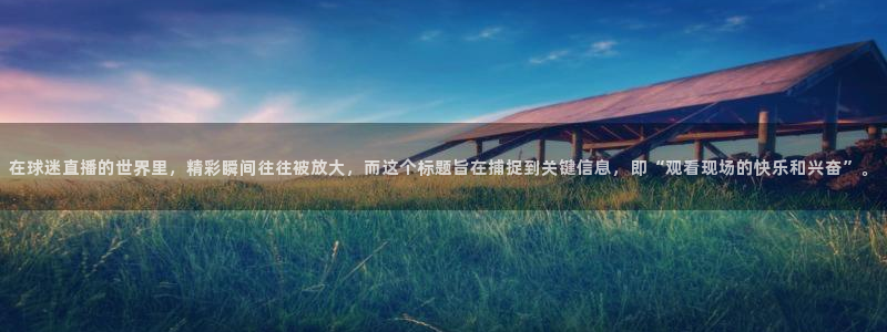 绿茵体育在线直播：在球迷直播的世界里，精彩瞬间往往被放大，而这个标题旨在捕捉到关键信息，即“观看现场的快乐和兴奋”。