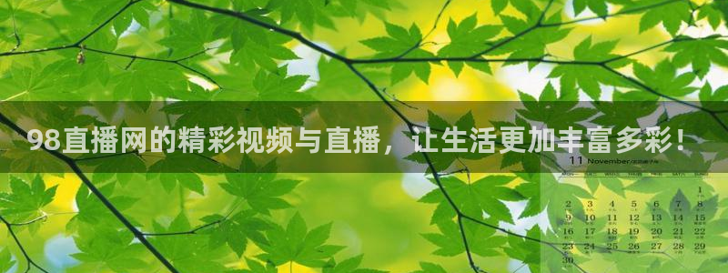 nba绿茵免费直播：98直播网的精彩视频与直播，让生活更加丰富多彩！