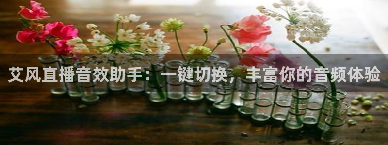 绿茵体育在线直播：艾风直播音效助手：一键切换，丰富你的音频体验
