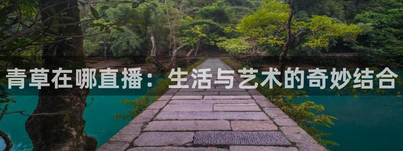 绿茵直播球赛在线观看：青草在哪直播：生活与艺术的奇妙结合